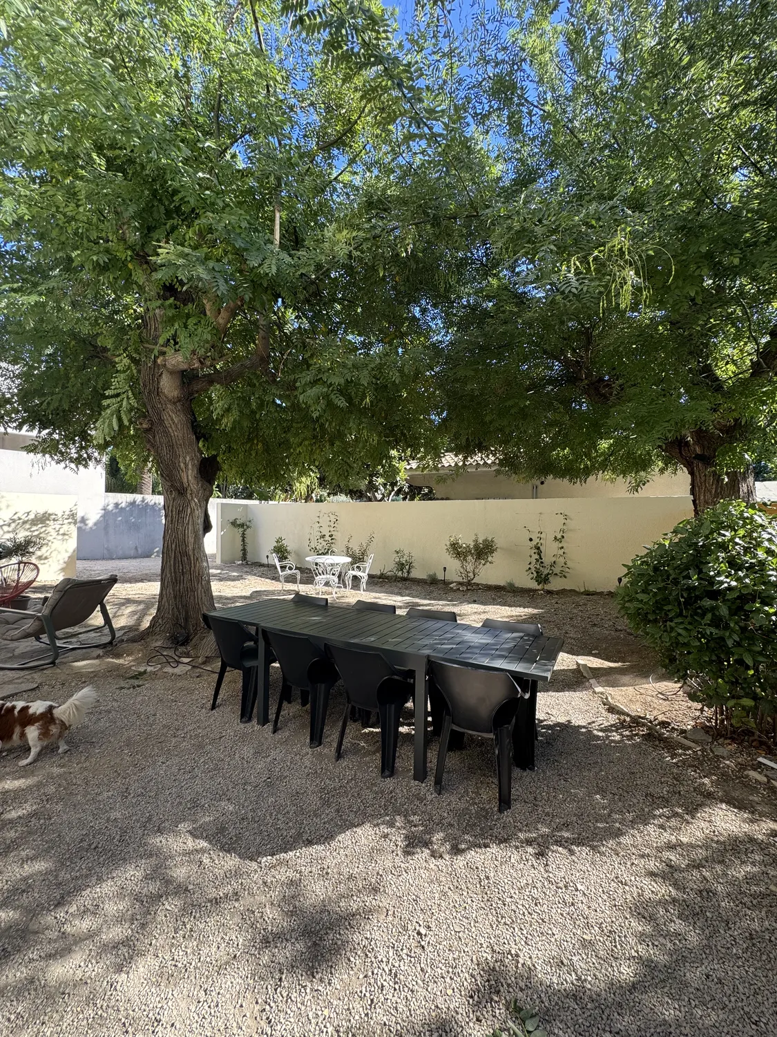 Grand jardin ombragé avec table de repas